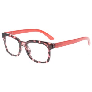 Plastic Reading Glasses